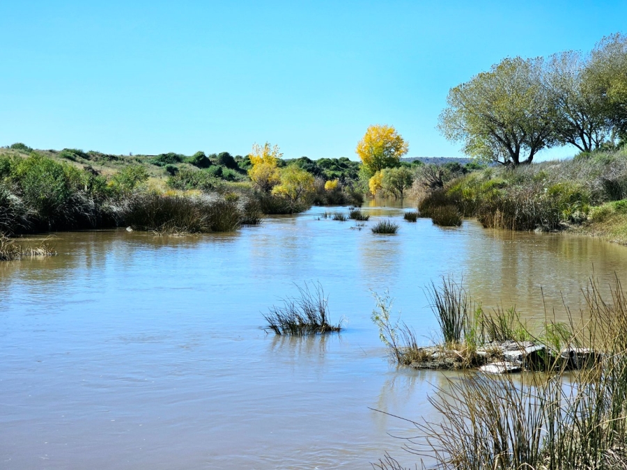 4 Bedroom Property for Sale in Bloemfontein Rural Free State